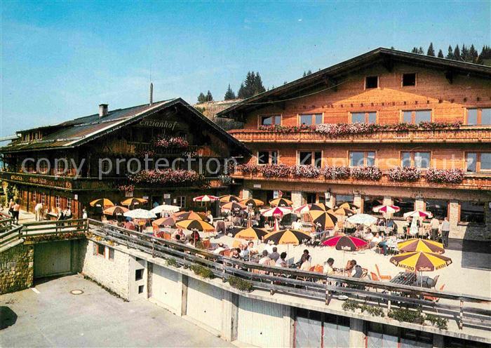 Zell Ziller Tirol Alpengasthof Enzianhof