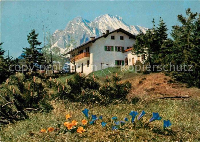 Mittenwald Karwendel Tirol Sankt Anton Kranzberg Wetterspitze Enzianbluete