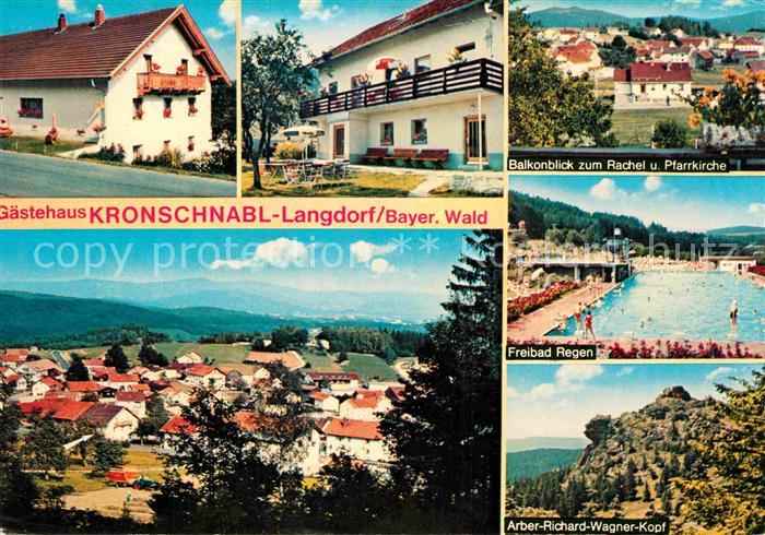 Langdorf Regen Gaestehaus Kronschnabl Freibad Regen Arber