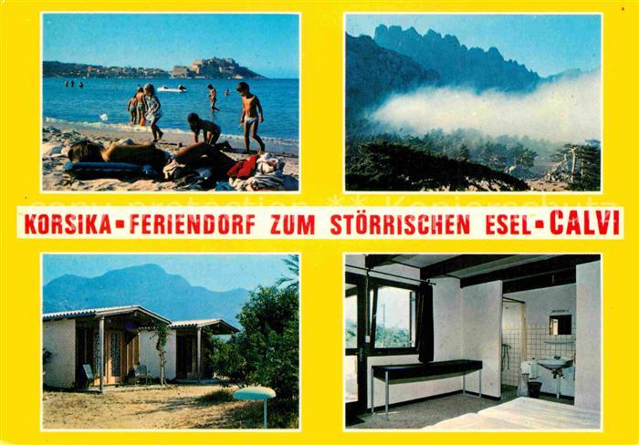 Calvi Feriendorf Stoerrischen Esel