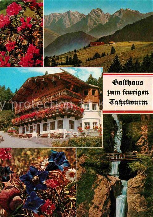 Bayrischzell Gasthaus zum feurigen Tatzelwurm Enzian