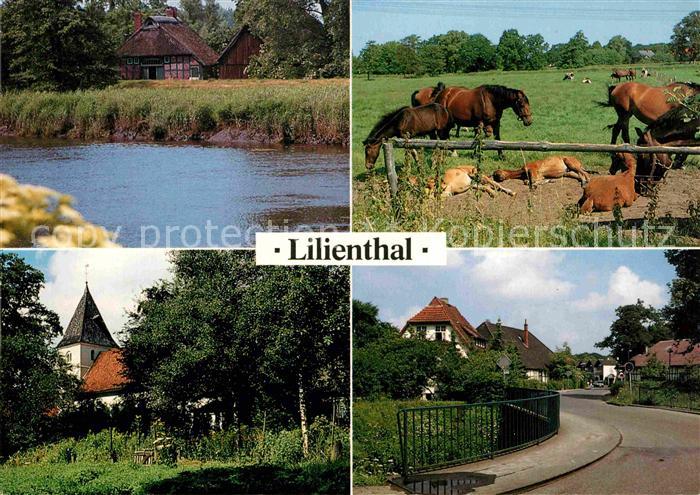 Lilienthal Bremen Pferde Dorfpartie See