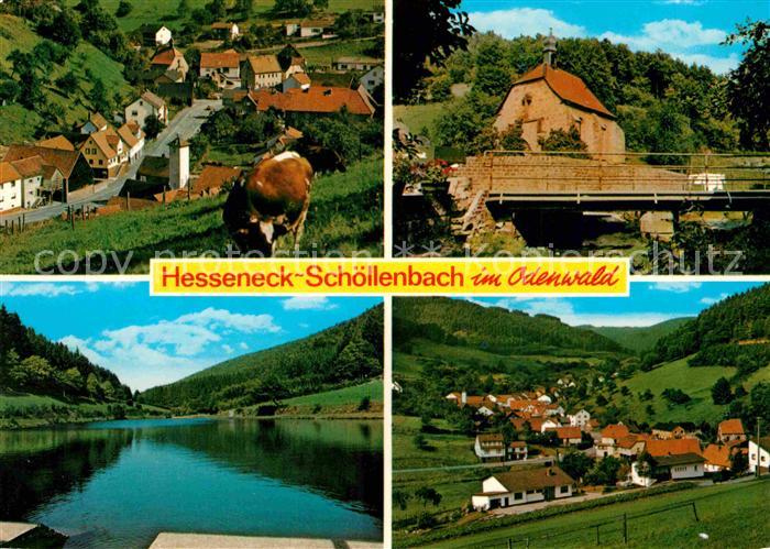 Hesseneck Schoellenbach Seepartie Bruecke