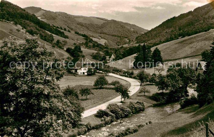 Walke Panorama Schapbachtal