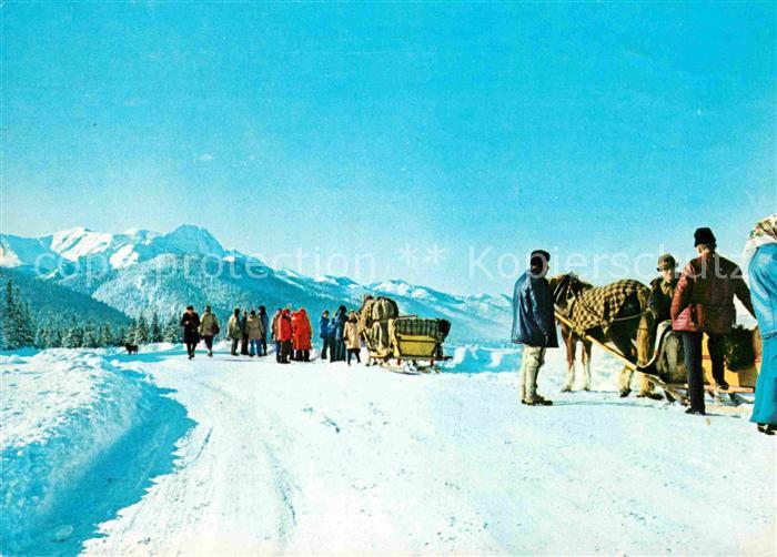 Zakopane Kulig na Cyrhli Tatry Hohe Tatra Winterpanorama