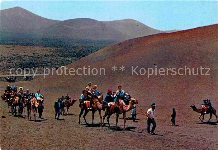 Lanzarote Kanarische Inseln Isla de los volcanes Caravana de camellos Vulkaninse