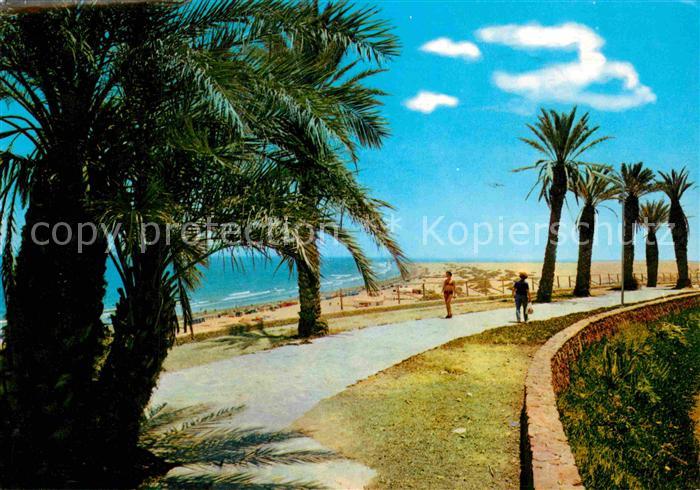 Playa del Ingles Strand Promenade Palmen