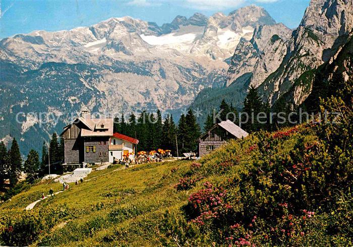 Gablonzerhaus Berghuette Alpenrosenbluehen Hoher Dachstein