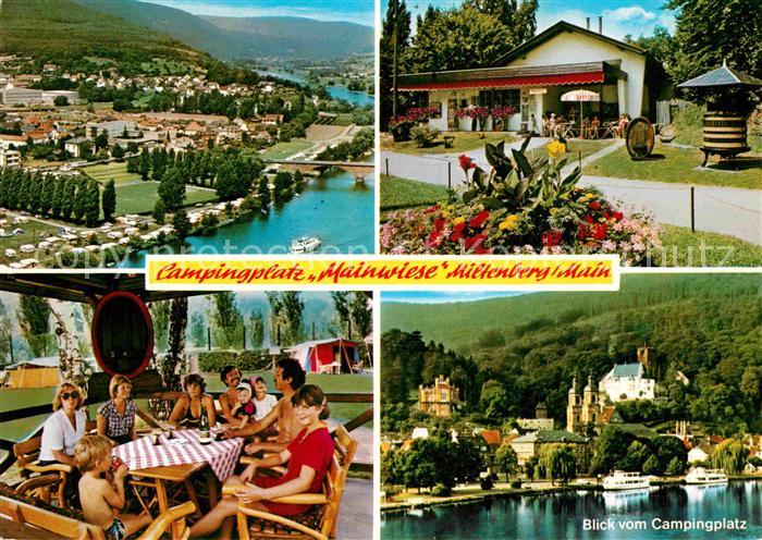 Miltenberg Main Campingplatz Mainwiese Panorama Schloss