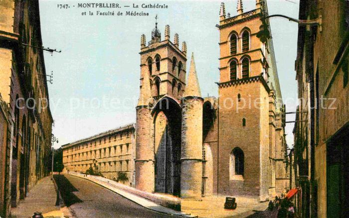 Montpellier Herault La Cathedrale et la Faculte de Medecine
