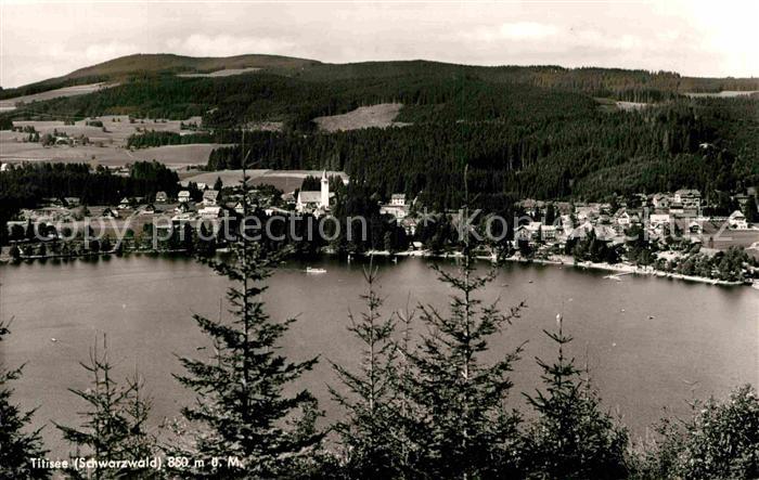 TITISEE Schwarzwald BW Panorama Blick ueber den Titisee Schwarzwald
