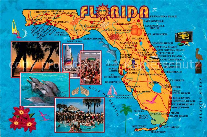 Florida US-State Landkarte Delphine Sonnenuntergang am Meer