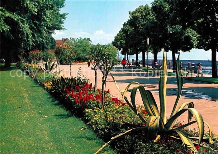 Friedrichshafen Bodensee Stadtgarten Uferpromenade