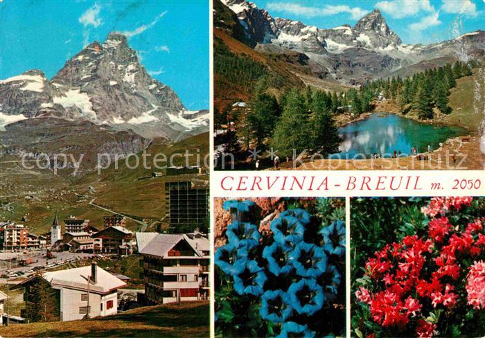 Breuil Cervinia Panorama Lago Bleu Alpen Blauer Enzian Alpenflora