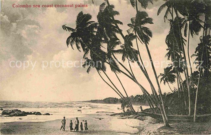 Colombo Ceylon Sri Lanka Sea coast cocoanut palms