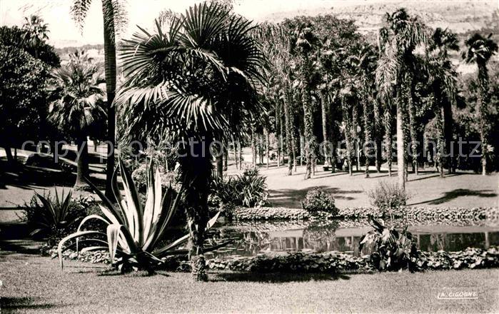 Monte-Carlo Les Jardins du Casino Vision d Afrique