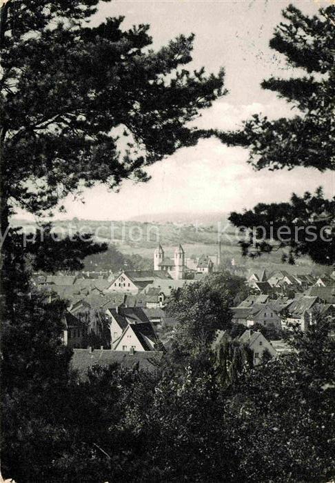 Bad Gandersheim Durchblick zur Roswitha Stadt