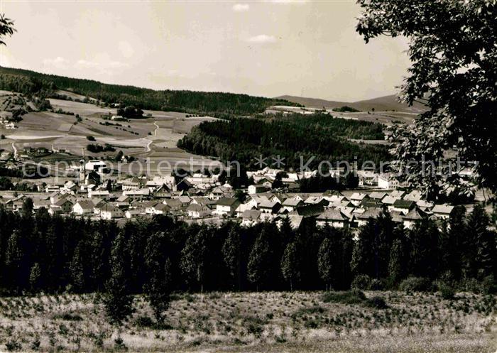 Frauenau Panorama Bayerischer Wald