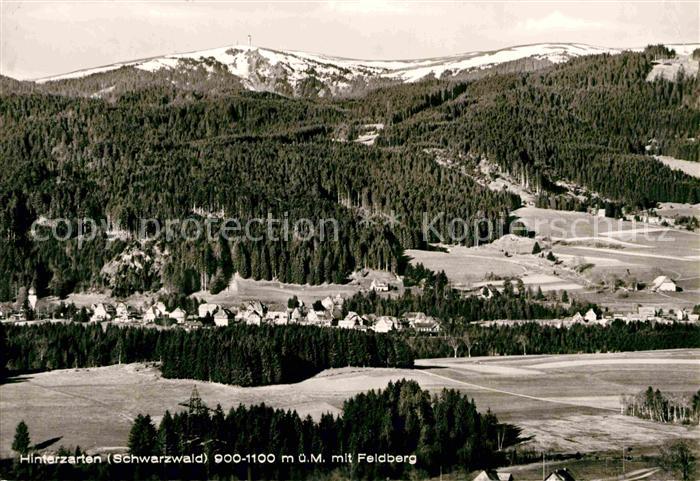Hinterzarten Breisgau-Hochschwarzwald BW Panorama Blick zum Feldberg Schwarzwald