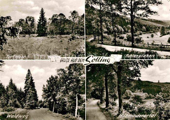 Neuhaus Solling Torfmoor Waldweg Fohlenplaken Honzmindenertal