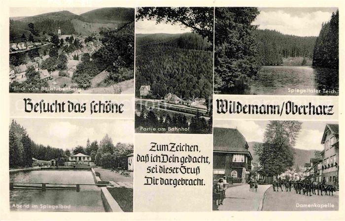 Wildemann Harz Goslar Niedersachsen Spiegeltaler Teich Blick vom Badstubenberg S