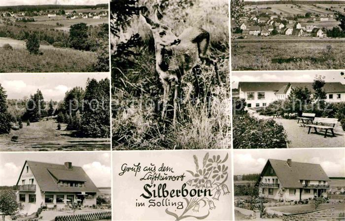 Silberborn Teilansicht Rehkitz Park