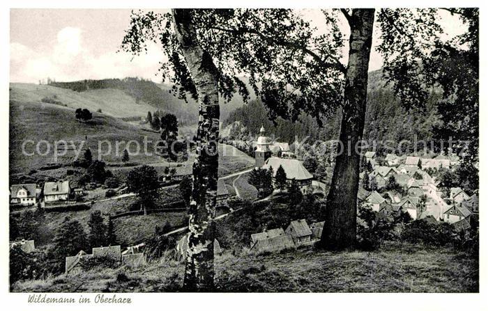 Wildemann Harz Goslar Niedersachsen Teilansicht