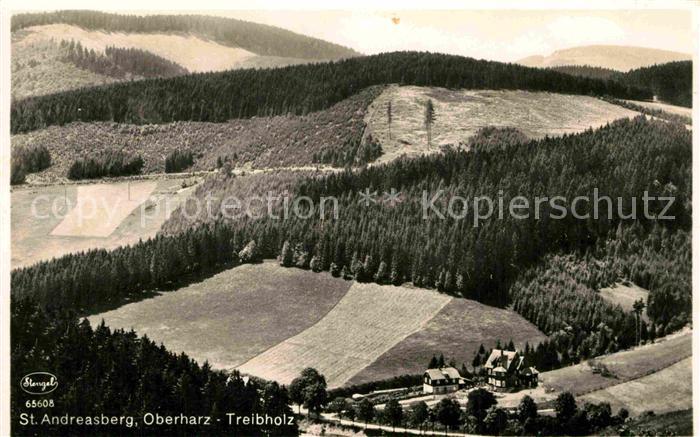 St Andreasberg Harz Treibholz