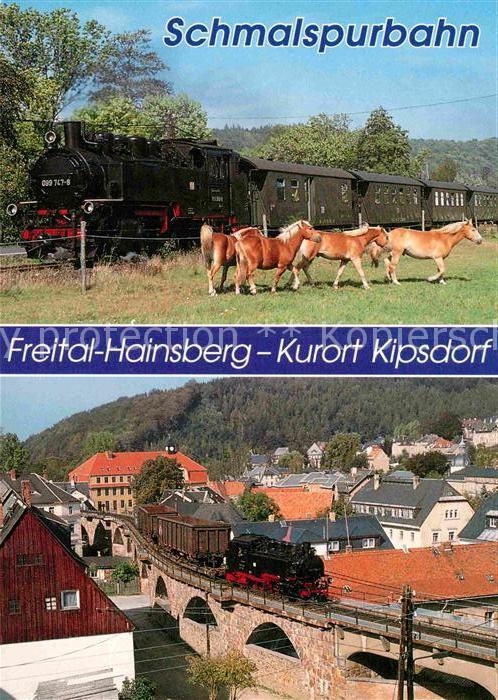 Lokomotive Schmalspurbahn Freital-Hainsberg-Kipsdorf Obercarsdorf Schmiedeberg