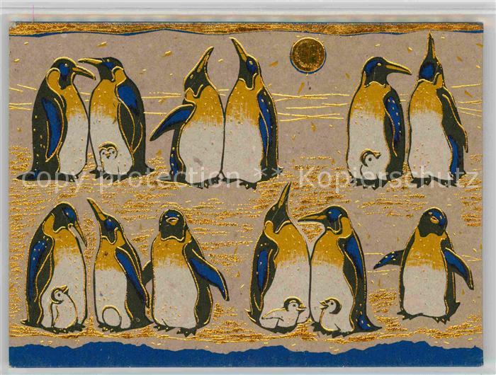 Pinguin Penguin Meeting