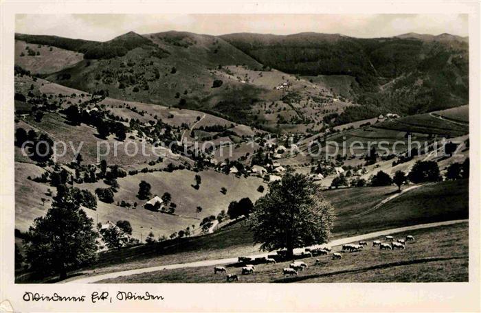 Wiedener Eck Panorama Schwarzwald