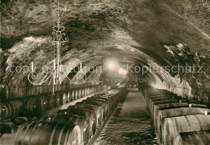 Johannisberg Rheingau Fuerst von Metternich Winneburgsche Domaene Schloss Keller