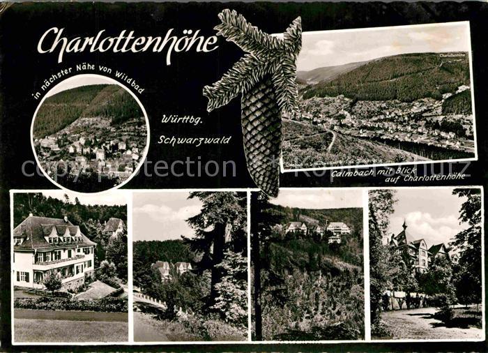 Calmbach Enz Panorama Blick auf Charlottenhoehe Tannenzapfen