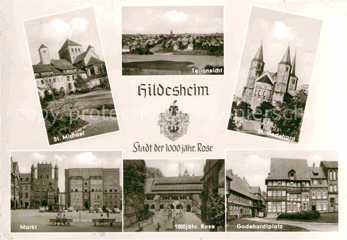HILDESHEIM  CITY St Michael St Godehard Kirche Markt 1000jaehrige Rose Godehardt