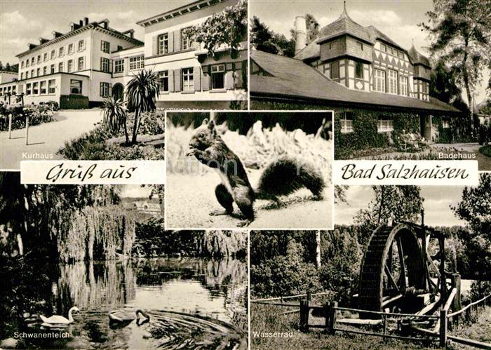 Bad Salzhausen Kurhaus Badehaus Wasserrad Schwanenteich Eichhoernchen