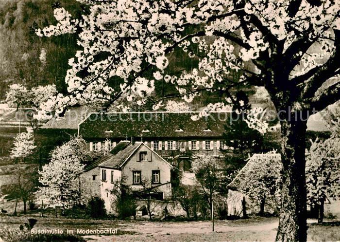Edenkoben Ausflugsgaststaette Buschmuehle Baumbluete Modenbachtal