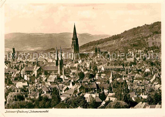 Freiburg Breisgau Stadtpanorama mit Muenster Blick zum Schwarzwald