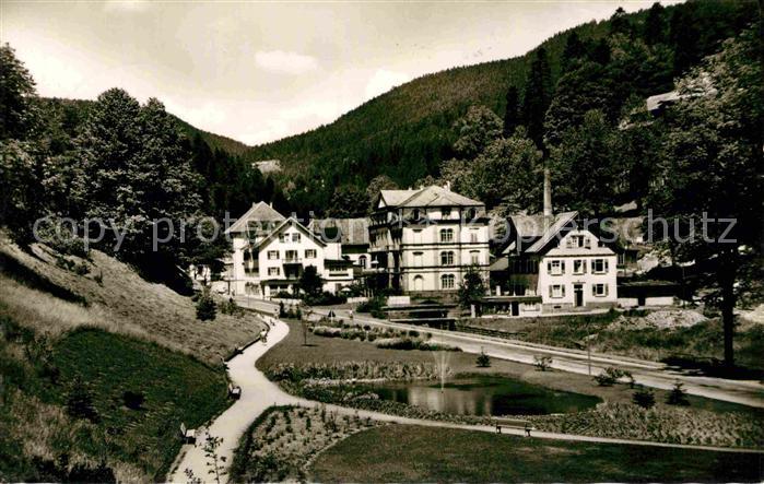 Rippoldsau Schwarzwald Bad Mineral-und Moorbad