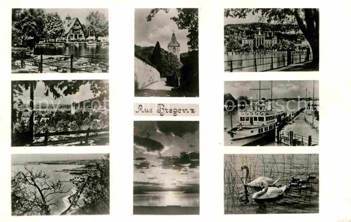 Bregenz Bodensee Schiff Schwan