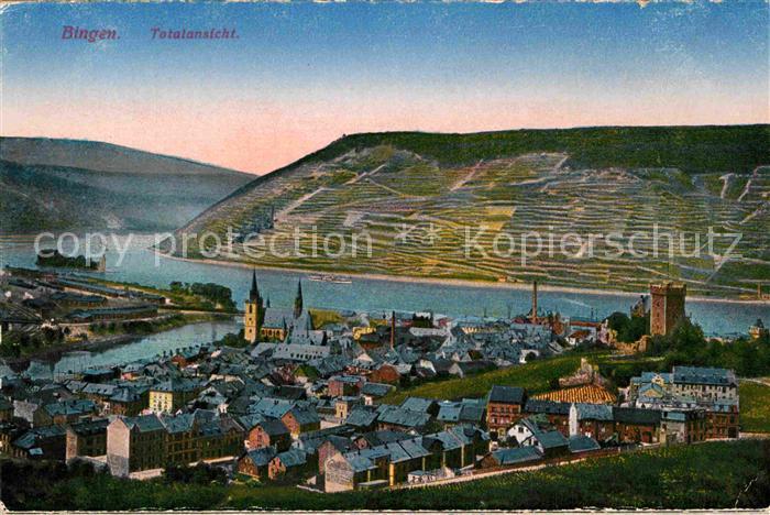 Bingen Rhein Totalansicht