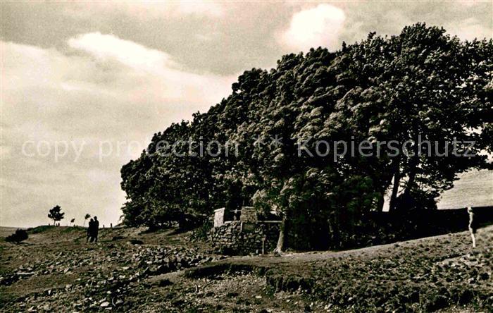 Wasserkuppe Rhoen Fuldaquelle