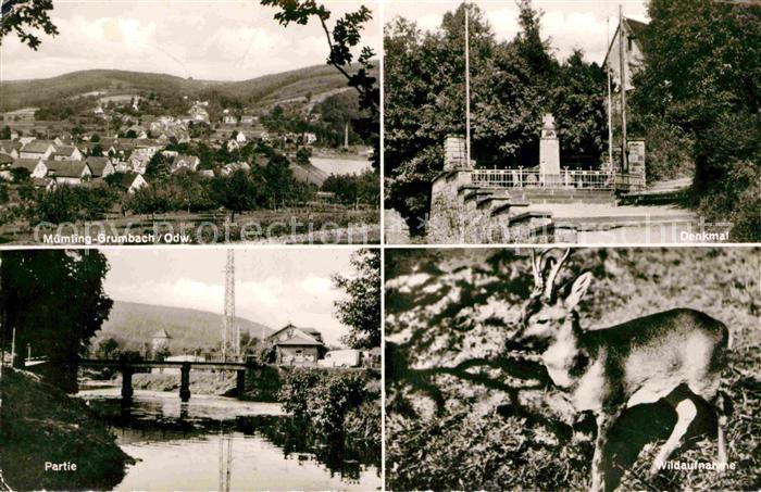 Muemling-Grumbach Denkmal Gesamtansicht Partie Wildgehege