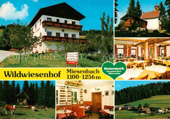 Miesenbach Birkfeld Gasthof Pension Wildwiesenhof