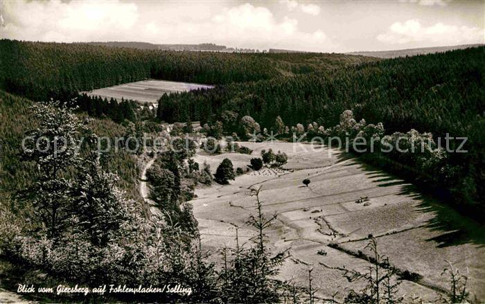 Fohlenplacken Panorama Blick vom Giersberg