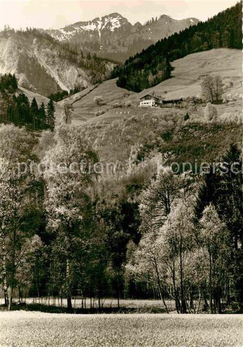 Brannenburg Landschaftspanorama Berghof Alpen