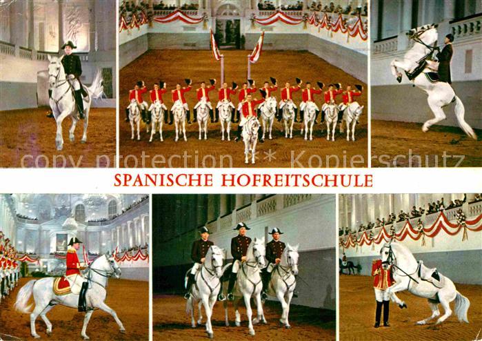 Wien Spanische Hofreitschule Lippizaner