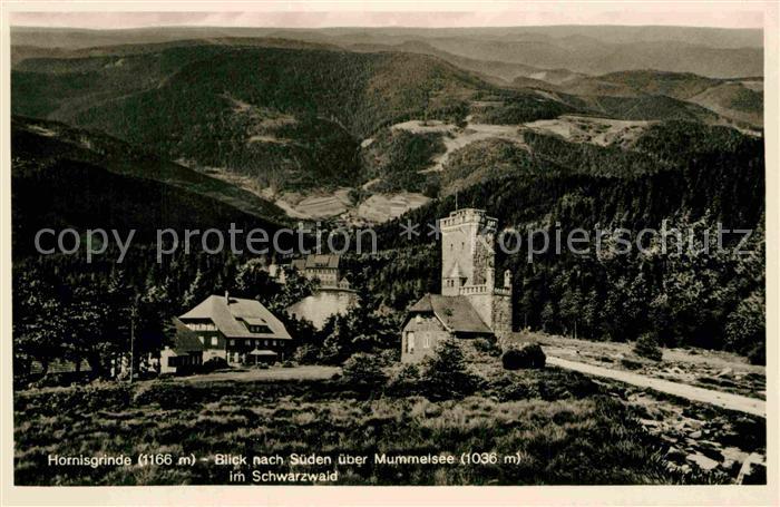 Hornisgrinde Panorama