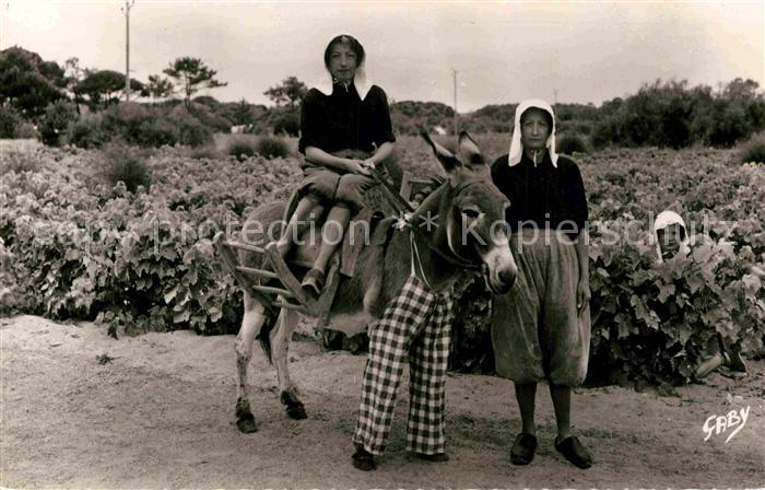 Ile-de-Re Ane en culotte