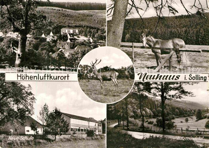 Neuhaus Solling Trakhener Teilansicht Neue Schule Holznidetal