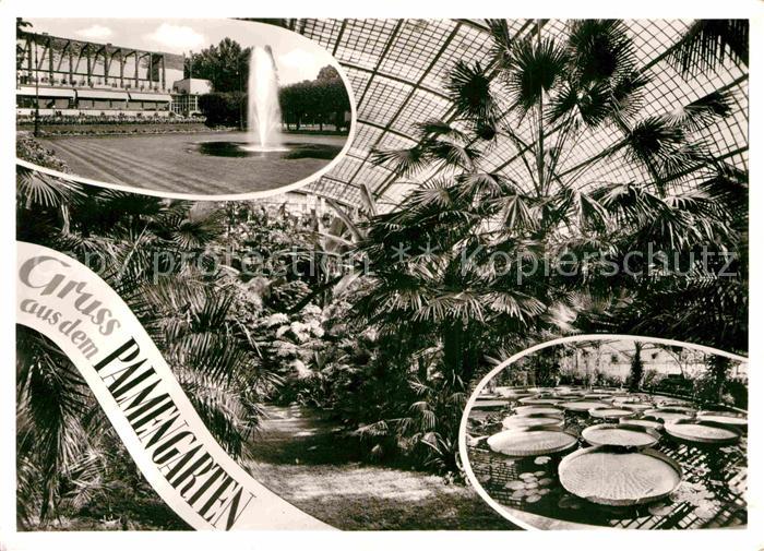 Frankfurt Main Palmengarten